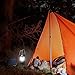 Vshinic Portable 30 LED Camping Lantern Flashlights Blackout Ten Light Survival Kit for Camping，Hiking，Reading，Hurricane, Power Outage, Emergency (Black, Collapsible)