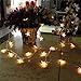 TINNZTES New Warm White 4m/13ft 40 LED Star Light Fairy String Light for Hotel Home Weddings Family School Party (Warm White)