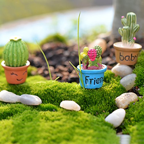 7pcs Assorted Miniature Bonsai Ornaments Fairy Garden Doll House Cactus and Flower Decor - Thumbnail 3