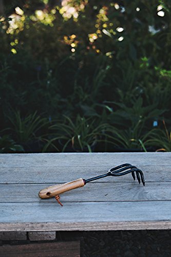 Barebones Living Garden Tool |Hand Cultivator - Thumbnail 3