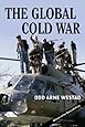 The Global Cold War: Third World Interventions and the Making of Our Times