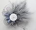 Cizoe Women's Fascinators Hat Hair Clip Feather Wedding Headware Bridal 1920s Headpiece(1-Grey)