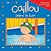 Caillou Learns to Swim (Playtime series)