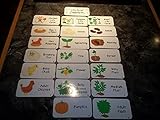 20 laminated Life Cycle Flashcards. Child educational learning activity. A Handmade teacher resource.