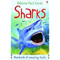 Sharks (Usborne Fact Cards)