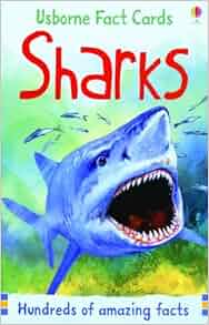 Sharks Usborne Fact Cards Phil Clarke Kirsteen Rogers