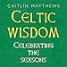 Celtic Wisdom Book: Celebrating the Seasons (Book in a Box) by 
