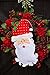 Evergreen Flag Santa Claus Outdoor Safe Felt Door Decor