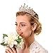 Topwedding Wedding Birdal Pageant Princess Tiara Headband Crown Headpiece w Rhinestones, Women