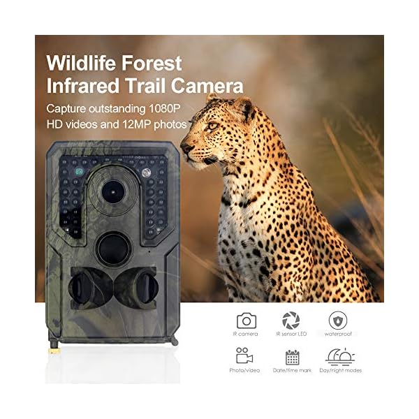 XUMU Wildkamera Jagdkamera, 12 MP, 1080P HD, wasserdichte Trail-Kamera mit 120° Weitwinkel, bewegungsaktivierte… – Bild 6