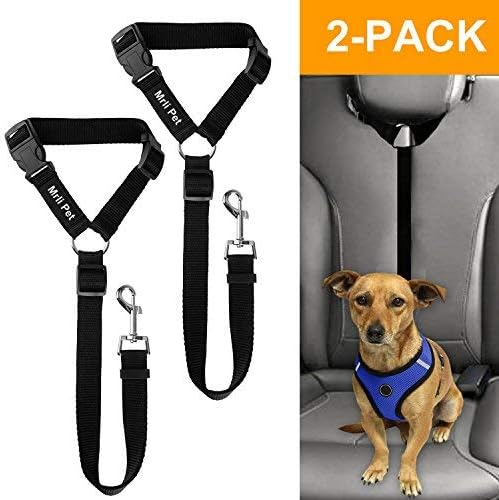 Dog Travel Restraints 2025