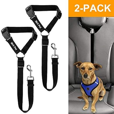 amazon dog car harness