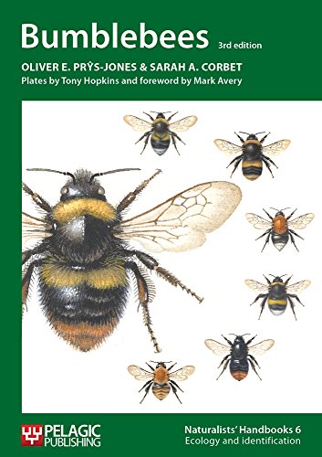 Bumblebees: 6 (Naturalists' Handbooks)