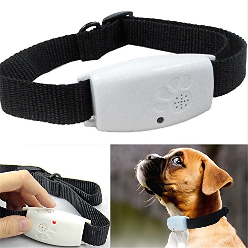 SHZONS Repellent Collar, 3pcs Pet Ultrasound Insects Repellent Flea & Tick Fly Repellent Dog Collar,Pest Control Collar for Dogs and Cats,2.60Ã—0.83Ã—1.22 in
