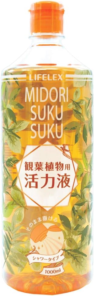 Amazon Co Jp コーナン オリジナル 緑スクスク活力液 観葉植物用 1000ml ホーム キッチン