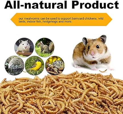hamster food with mealworms