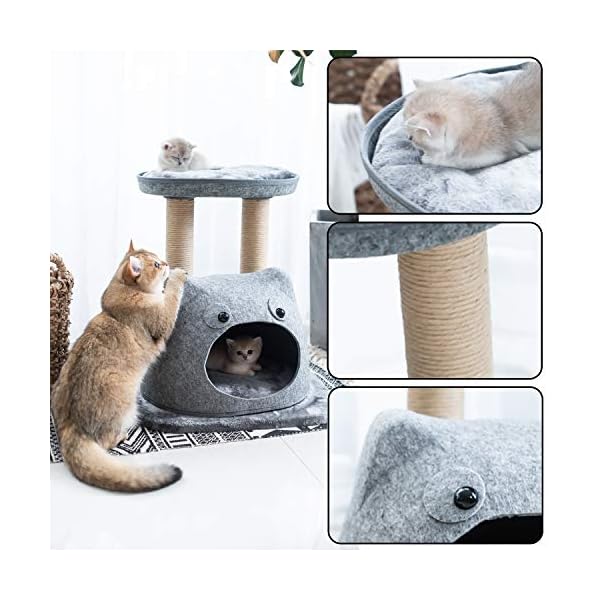 Best Cat Tree Hammock Bed With Scratching Posts 2020