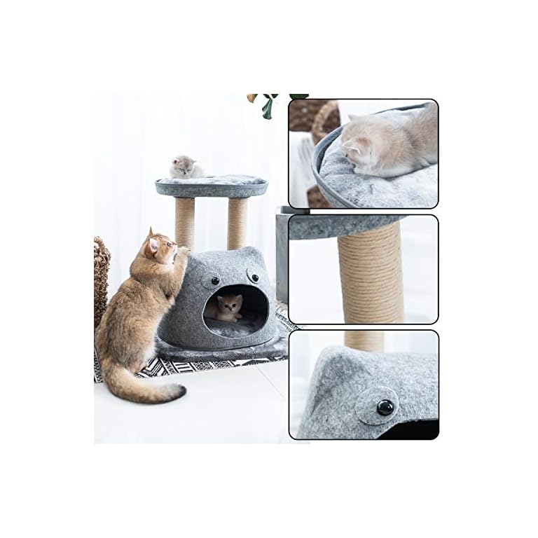 Best Cat Tree Hammock Bed With Scratching Posts 2020