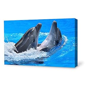 Canvas Wall Art Lovely Dolphin Canvas Prints Home Artwork Decoration for Living Room,Bedroom - 12x18 inches