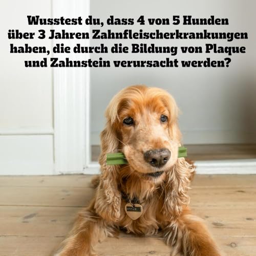 Pedigree DentaStix Fresh Hundeleckerli für große Hunde, Kausnack gegen Zahnsteinbildung, Für gesunde Zähne und einen frischen Atem, 4 er Pack, 4 x 28 Stück 10