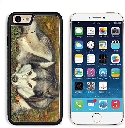 Dog Husky Grass Lie Down Waiting Sadness Apple iPhone 6 TPU Snap Cover Premium Aluminium Design Back Plate Case Customized Made to Order Support Ready Liil iPhone_6 Professional Case Touch Accessories Graphic Covers Designed Model Sleeve HD Template Wallpaper Photo Jacket Wifi Luxury Protector Wireless Cellphone Cell Phone