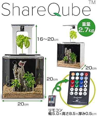 Amazon シェアキューブ Shareqube 水替え不要 アクアリウム 水槽 スタンダードセット スマートライフ研究所 水槽 アクアリウム 通販
