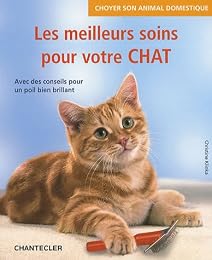 Les  meilleurs soins pour votre chat