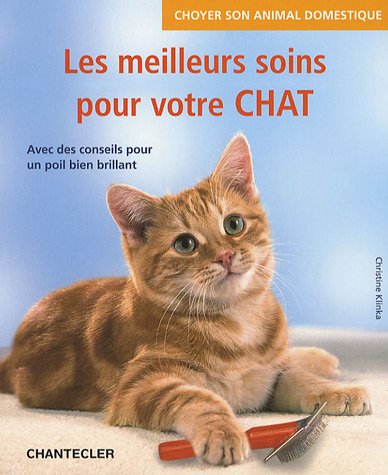 Les  meilleurs soins pour votre chat