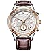 BUREI Men's Elegant Chronograph Watch with Date Display and Brown Leather Strap Business Luxury Sport Rose Gold Quartz Analog Watch for Men