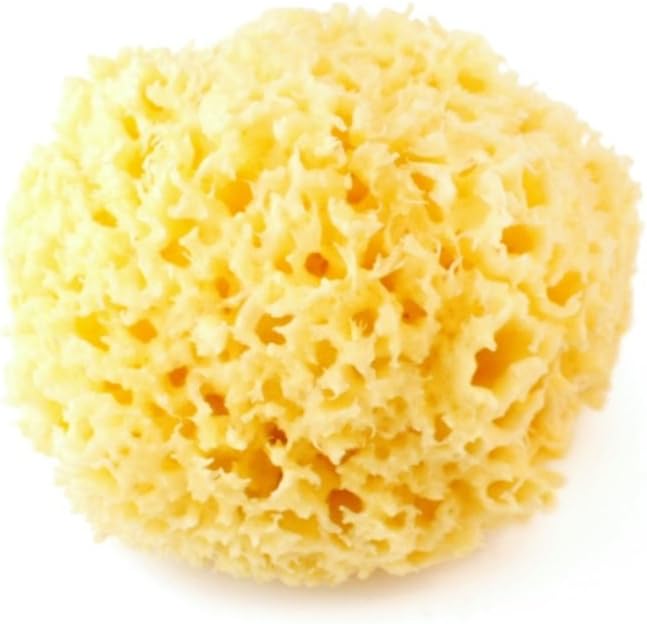 Things of Nature Natural Sponge of Sea Archipelago Bleached – 22 G