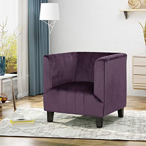 Christopher Knight Home Lillian Velvet Club Chair, Modern, Glam, Jewel