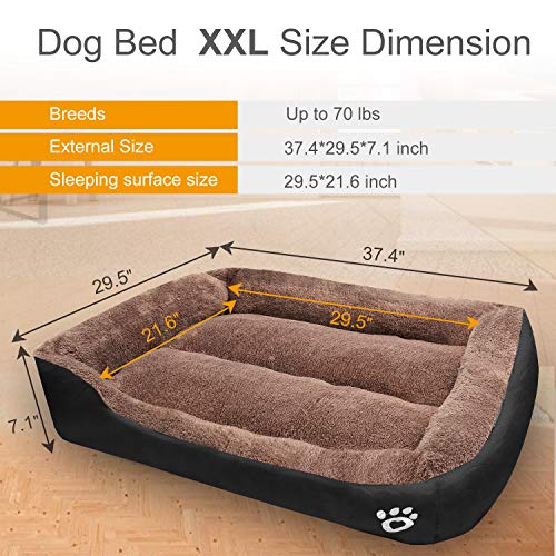 bed xxl size