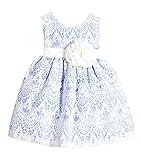 Sweet Kids Baby Girls' Sweet Vintage Elegance Lace Flower Girl Easter Dress