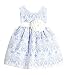 Sweet Kids Baby Girls' Sweet Vintage Country Style Lace Flower Girl Party Dress