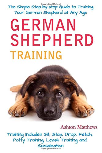 leash training german shepherd