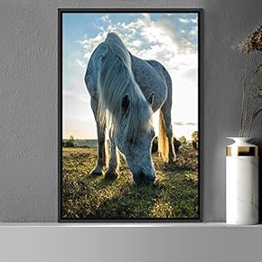 signwin Framed Canvas Wall Art Horse Animals Dramatic...