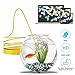 WiFi Endoscope Camera,1200P Semi-Rigid Wireless Endoscope Inspection Camera IP68 Waterproof USB Borescope Camera HD Snake Camera for Android,iPhone, Samsung,Tablet by Apexflux (Yellow)