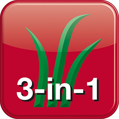 MTD Elektro-Vertikutierer OPTIMA 34 VE; 16AFEMNA600 – Bild 8