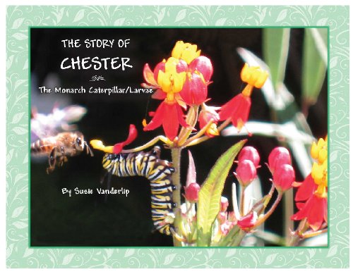 THE STORY OF CHESTER