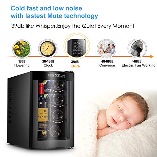 6 Slsy+Refrigerator+Thermoelectric+Countertop+Temperature