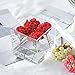 Choice Fun Acrylic Flower Box Clear Water Holder Vase Wedding Flower Holder Decorative