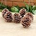 Yiphates 10PCS Christmas Tree Hanging Balls Pine Cones , Pine cone Xmas New Year Holiday Party Decoration
