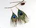 F&U Peacock Feather Dangle Drop Earrings Indian Style for Women