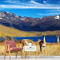 Wall Mural Natural Scenery Removable Self-Adhesive Wallpaper Wall Decoration for Bedroom Living Room - 66x96 inches