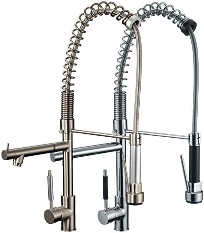 FREUER Professionista Collection: Pull Down Spray Kitchen Sink Faucet, Polished Chrome