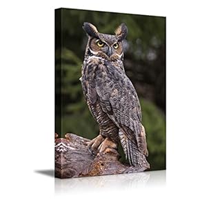 Canvas Prints Wall Art - a Great Horned Owl Sitting on a Tree Stump | Modern Wall Decor/Home Decoration Stretched Gallery Canvas Wrap Giclee Print & Ready to Hang - 12" x 18"