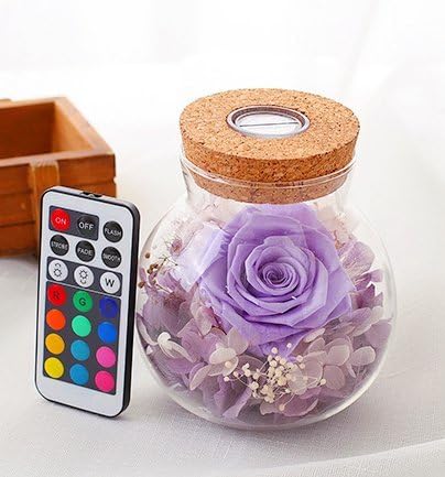 Neilshop Handmade Preserved Rose Flowers, led light Never Withered Fresh Rose Fresh Flowers Eternal Life Flowers Gift Valentine's Day, Mother's Day, Anniversary, Birthday, wedding -purple