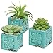 Set of 3 Rustic Style Turquoise Ceramic Floral Design Succulent Plant Pots/Mini Herb & Cacti Planters
