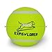 Squeaky Tennis Balls for Dogs - Premium Toy for Pet Training 12-pack