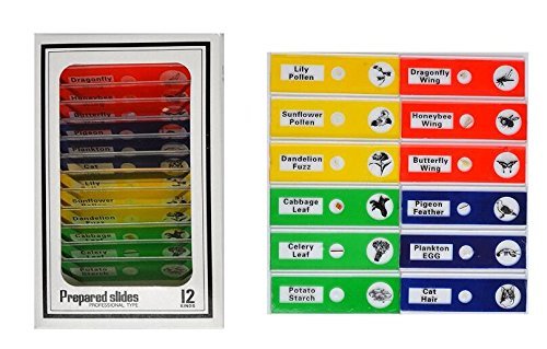 5 Little+World+Microscope+1200X+Include+Educational